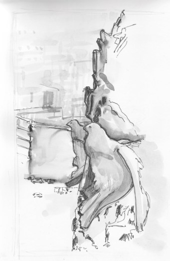 Image 5-03-19 at 3.47 PM