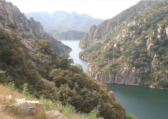 Screenshot 2019-07-07 15.25.20